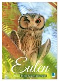 Eulen: In die Augen geschaut (Wandkalender 2026 DIN A2 hoch), CALVENDO Monatskalender