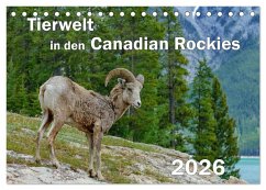 Cover Tierwelt in den Canadian Rockies (Tischkalender 2026 DIN A5 quer), CALVENDO Monatskalender