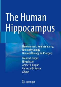 Cover The Human Hippocampus