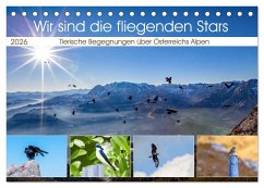 Cover Wir sind die fliegenden Stars (Tischkalender 2026 DIN A5 quer), CALVENDO Monatskalender