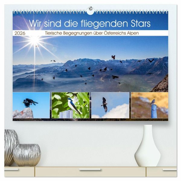 Wir sind die fliegenden Stars (hochwertiger Premium Wandkalender 2026 DIN A2 quer), Kunstdruck in Hochglanz
