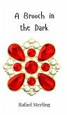 A Brooch in the Dark A Brooch in the Dark