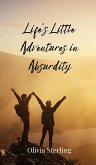 Life's Little Adventures in Absurdity Life's Little Adventures in Absurdity