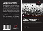 Symulacja infiltracji opadów na sp¿kanych zboczach skalnych Symulacja infiltracji opadów na sp¿kanych zboczach skalnych