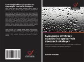 Symulacja infiltracji opadów na sp¿kanych zboczach skalnych Symulacja infiltracji opadów na sp¿kanych zboczach skalnych
