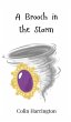 A Brooch in the Storm - Bild 1