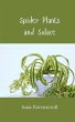 Spider Plants and Solace - Bild 1