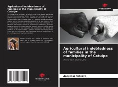 Cover Agricultural indebtedness of families in the municipality of Catuípe