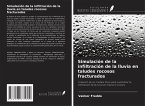 Simulación de la infiltración de la lluvia en taludes rocosos fracturados