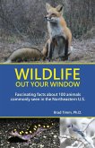 Wildlife Out Your Window Wildlife Out Your Window
