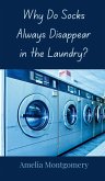 Why Do Socks Always Disappear in the Laundry? Why Do Socks Always Disappear in the Laundry?