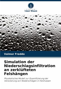 Simulation der Niederschlagsinfiltration an zerklüfteten Felshängen - Freddo, Valmor