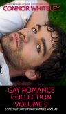 Gay Romance Collection Volume 5