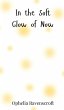 In the Soft Glow of Now - Bild 1