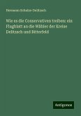 Wie es die Conservativen treiben: ein Flugblatt an die Wähler der Kreise Delitzsch und Bitterfeld