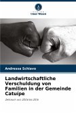 Landwirtschaftliche Verschuldung von Familien in der Gemeinde Catuípe