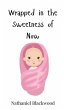 Wrapped in the Sweetness of Now - Bild 1