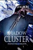 Shadow Cluster Shadow Cluster