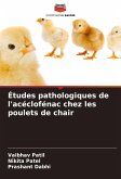 Études pathologiques de l'acéclofénac chez les poulets de chair Études pathologiques de l'acéclofénac chez les poulets de chair