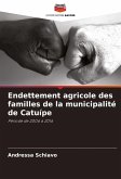 Endettement agricole des familles de la municipalité de Catuípe