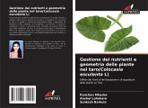 Gestione dei nutrienti e geometria delle piante nel taro(Colocasia esculenta L)