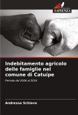 Indebitamento agricolo delle famiglie nel comune di Catuípe