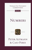 Numbers Numbers