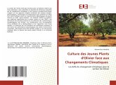 Culture des Jeunes Plants d'Olivier face aux Changements Climatiques Culture des Jeunes Plants d'Olivier face aux Changements Climatiques