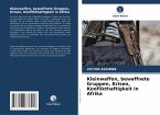 Kleinwaffen, bewaffnete Gruppen, Krisen, Konflikthaftigkeit in Afrika