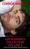Gay Romance Collection Volume 5