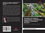 Genetics of natural populations of Rosewood (Aniba rosaeodora, Ducke):