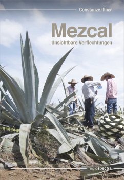 Mezcal - Unsichtbare Verflechtungen (eBook, PDF) - Illner, Constanze