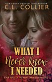 What I Never Knew I Needed (eBook, ePUB) What I Never Knew I Needed (eBook, ePUB)