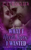 What I Never Knew I Wanted (eBook, ePUB) What I Never Knew I Wanted (eBook, ePUB)