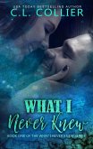 What I Never Knew (eBook, ePUB) What I Never Knew (eBook, ePUB)