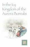 In the Icy Kingdom of the Aurora Borealis (eBook, ePUB)