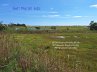 Salt Marsh Life (eBook, ePUB) - Bild 1