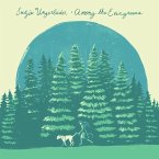Among The Evergreens Among The Evergreens