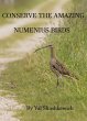 Conserve the Amazing Numenius Birds... - Bild 1