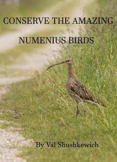 Cover Conserve the Amazing Numenius Birds (eBook, ePUB)