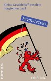 Revolution! Revolution!