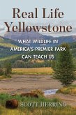 Real Life Yellowstone