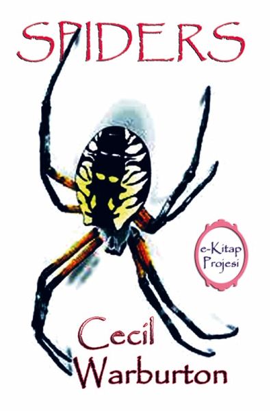 Spiders Spiders