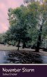 November Storm - Bild 1