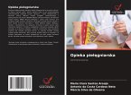 Opieka piel¿gniarska Opieka piel¿gniarska