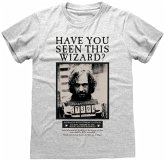Harry Potter - Sirius Black Poster T-Shirt XX Large Harry Potter - Sirius Black Poster T-Shirt XX Large