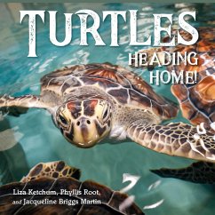 Cover Turtles Heading Home!