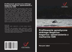 Cover Profilowanie genetyczne dzikiego Bagarius bagarius: spostrze¿enia z markerów SSR