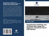 Genetisches Profiling von wildlebenden Bagarius bagarius: Einblicke durch SSR-Marker