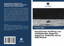 Cover Genetisches Profiling von wildlebenden Bagarius bagarius: Einblicke durch SSR-Marker